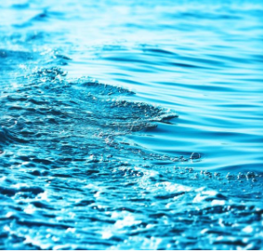 藍(lán)海行動(dòng)描述